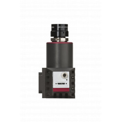 Pika L-F - Oberseite Pika L-F - Oberseite