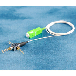 _mg_5422.jpg _mg_5422.jpg