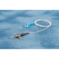 _mg_5424.jpg _mg_5424.jpg