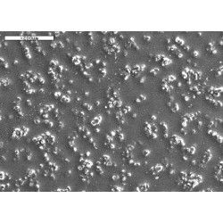 tan150.jpg tan150.jpg