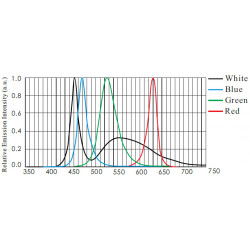 Back Lights Back Lights