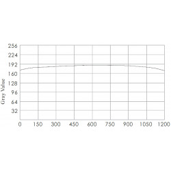 Kollimierte Hintergrundbeleuchtung Kollimierte Hintergrundbeleuchtung