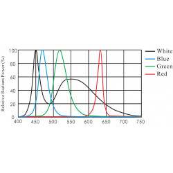 Kollimierte Hintergrundbeleuchtung Kollimierte Hintergrundbeleuchtung
