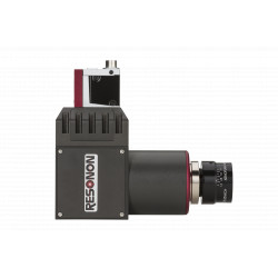 Pika L - rechts Pika L - rechts